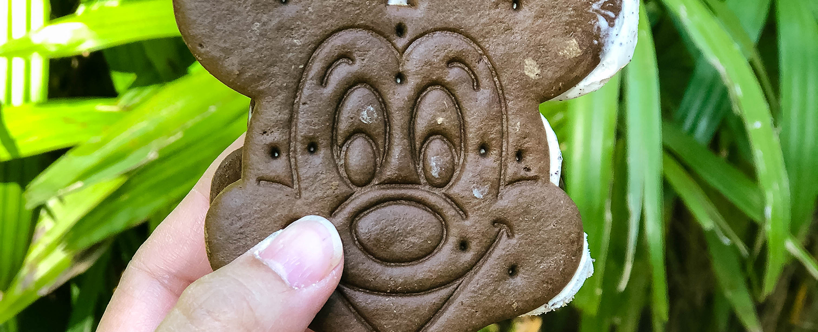 9 Must-Try Disney Foods on Your Next Disney Trip